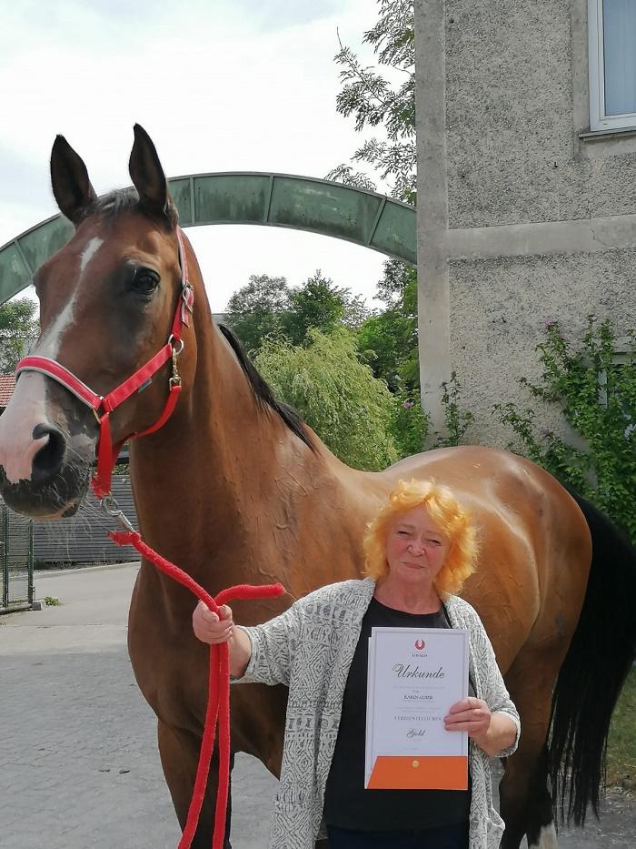 Karin Alber wurde mit dem Goldenen Verdienstzeichen der Sportunion OÖ für ihre jahrelange Arbeit geehrt (c) privat
