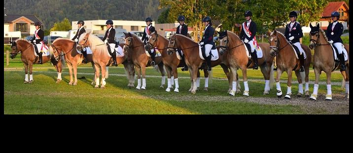 Haflinger MeisterInnen Dressur